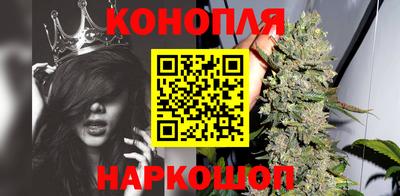 стаф Тверь
