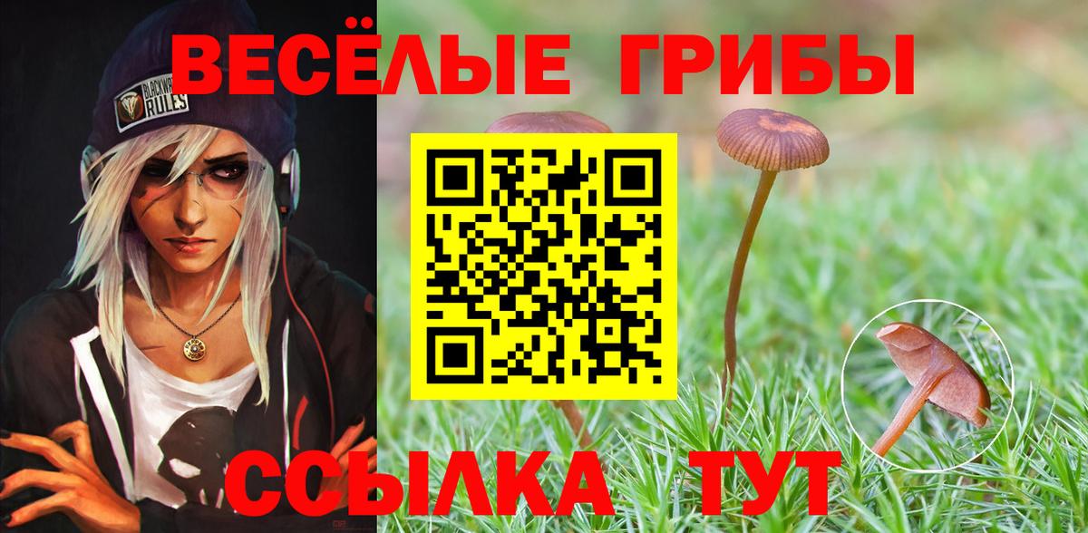 Псилоцибиновые грибы прущие грибы  Вход с VPN  Галлюциногенные грибы GOLDEN TEACHER  Ноябрьск 